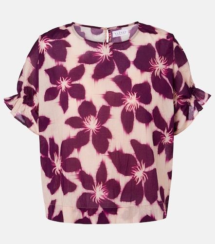 Blouse Delilah en coton à fleurs - Velvet - Modalova