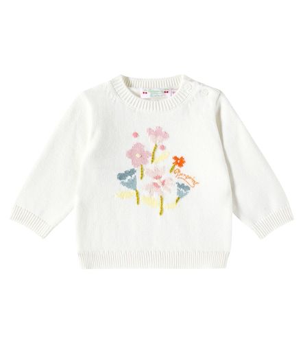Bébé – Pull Almire en coton et cachemire - Bonpoint - Modalova
