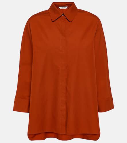 Chemise Delfino en coton - 'S Max Mara - Modalova