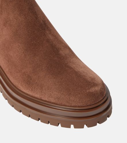 Bottines Chelsea Chester en daim - Gianvito Rossi - Modalova