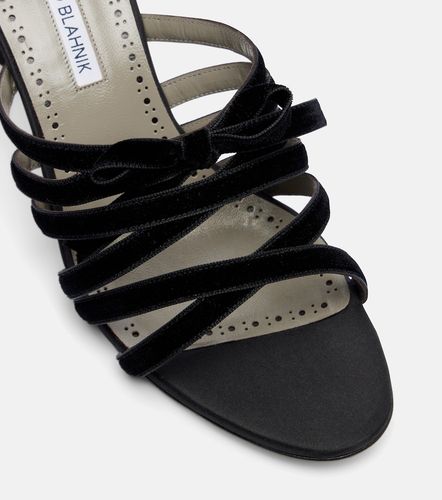 Mules Clementel 70 en velours - Manolo Blahnik - Modalova