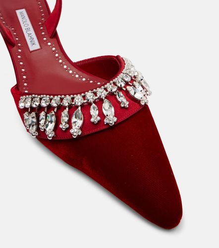 Escarpins slingback Bequila 30 en velours - Manolo Blahnik - Modalova