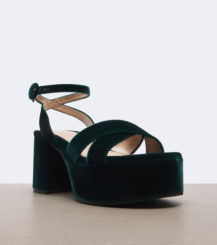 Sandales à plateau en velours - Gianvito Rossi - Modalova
