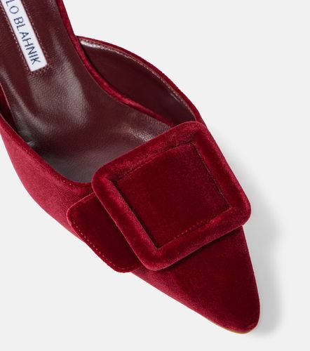 Mules Maysale 50 en velours - Manolo Blahnik - Modalova