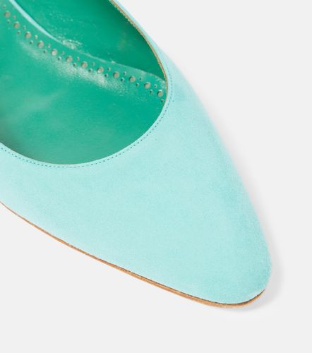Ballerines Sawra 10 en daim - Manolo Blahnik - Modalova