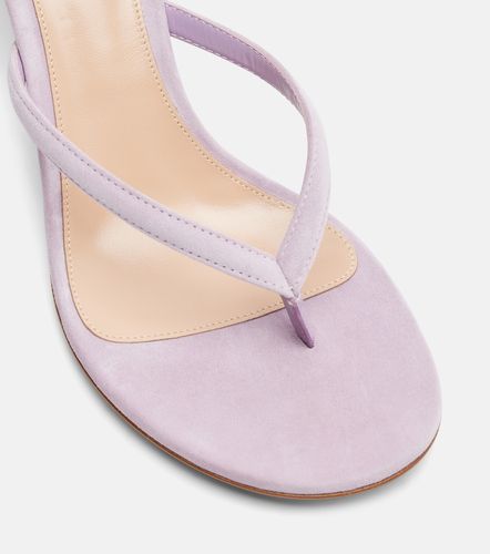 Mules Calypso en daim - Gianvito Rossi - Modalova