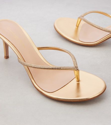 Tongs India 70 en cuir - Gianvito Rossi - Modalova