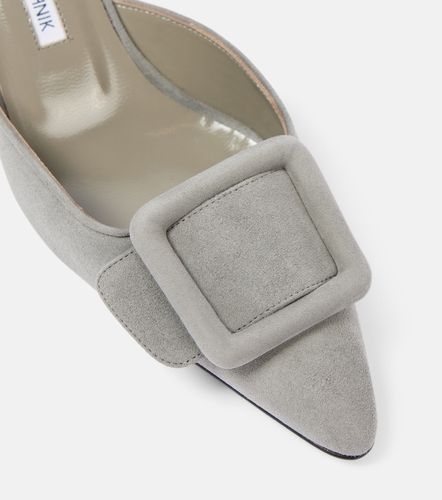 Mules Maysale 50 en daim - Manolo Blahnik - Modalova