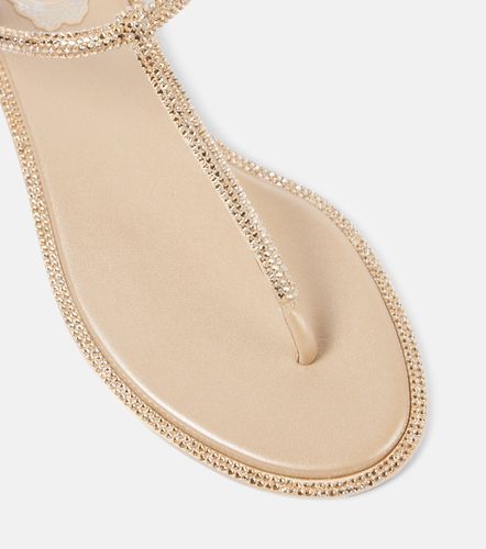Tongs Diana en satin et cuir - Rene Caovilla - Modalova