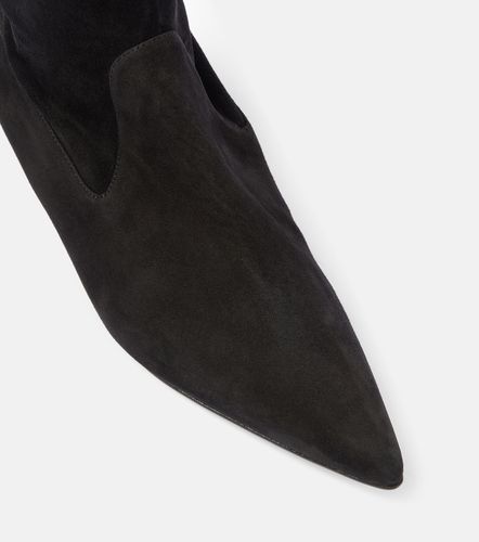 Cuissardes Lupasca 55 en daim - Manolo Blahnik - Modalova