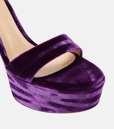 Sandales Holly en velours à plateforme - Gianvito Rossi - Modalova
