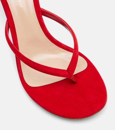 Tongs Calypso en daim - Gianvito Rossi - Modalova