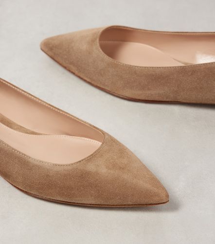 Ballerines Gianvito en daim - Gianvito Rossi - Modalova