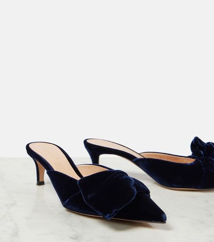 Gianvito Rossi Mules 55 en velours - Gianvito Rossi - Modalova