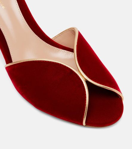 Mules 70 en velours et cuir - Gianvito Rossi - Modalova