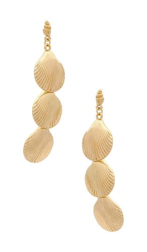 BOUCLES D'OREILLES SHELL in - 8 Other Reasons - Modalova