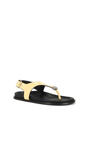 SANDALES EN VANILLA HARBOR ONIX en . Taille 36. Also en 40 - ALOHAS - Modalova