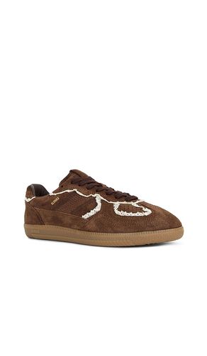 SNEAKERS TB.490 en . Taille 35. Also en 36, 37, 38, 39, 40, 41 - ALOHAS - Modalova