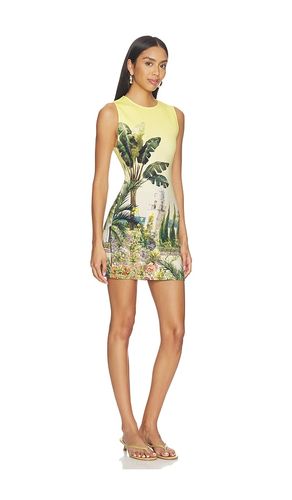 ROBE WYNELL en . Taille 4. Also en 8, 12 - Alice + Olivia - Modalova