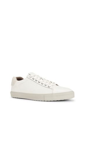SNEAKERS TUCKER en . Taille 8. Also en - ALLSAINTS - Modalova