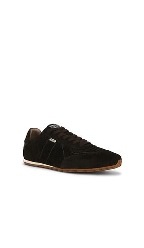 SNEAKERS LIAM en . Taille 8. Also en 9, 10, 11, 12, 13 - ALLSAINTS - Modalova