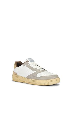 SNEAKERS REGAN en ,. Taille 7. Also en 10, 11 - ALLSAINTS - Modalova