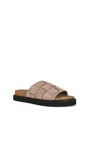 MULES RANDAL en . Taille 8. Also en 9, 10, 11 - ALLSAINTS - Modalova