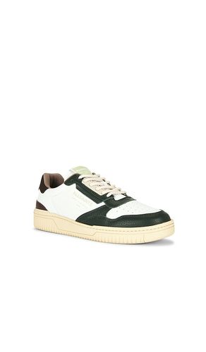 SNEAKERS en . Taille 8. Also en 9, 10, 11, 12 - ALLSAINTS - Modalova