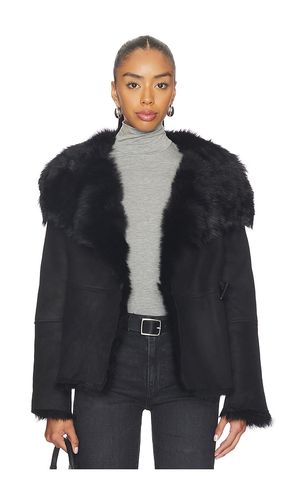 BLOUSON WILTON en . Taille L. Also en M - ALLSAINTS - Modalova