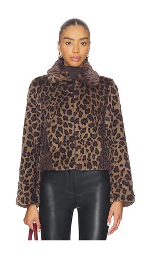 BLOUSON SAYE en . Taille M. Also en L - ALLSAINTS - Modalova