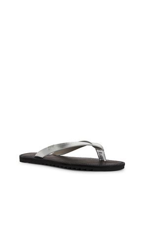 SANDALES SYDNEY en , . Taille 38. Also en - ALLSAINTS - Modalova