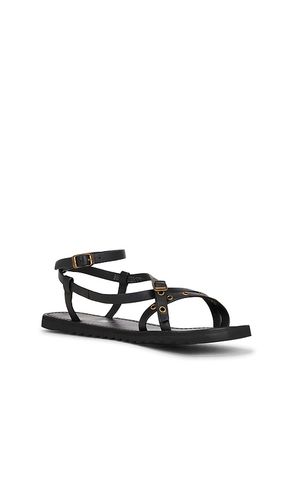 SANDALES TYLA EYELET en . Taille 7.5. Also en 8, 8.5, 9, 11 - ALLSAINTS - Modalova