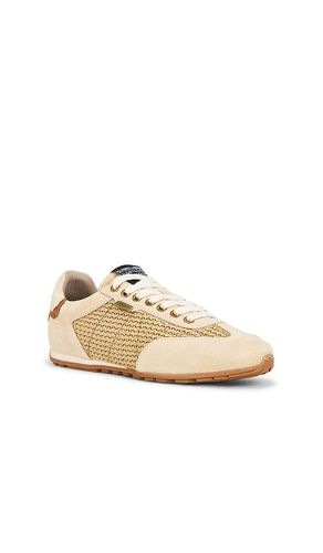 SNEAKERS LIAM LOW TOP en . Taille 7. Also en 8, 8.5, 11 - ALLSAINTS - Modalova