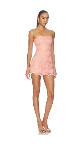COMBISHORT DAISY en . Taille L. Also en M - Amanda Uprichard - Modalova