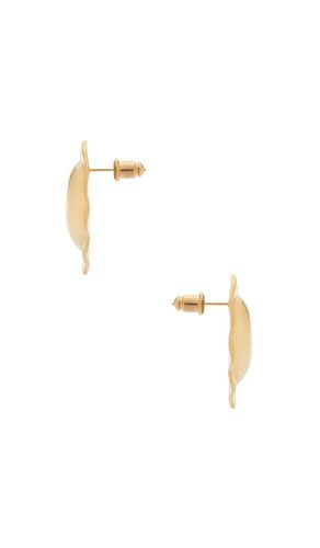 CLOUS D'OREILLES SAINTE en - Amber Sceats - Modalova