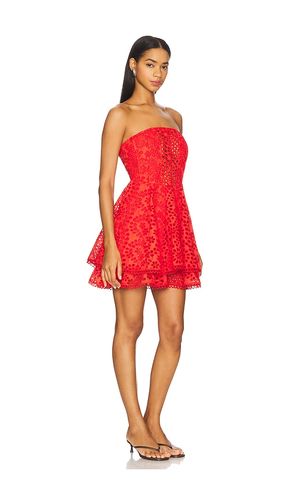 ROBE DEASIA en . Taille L. Also en M, S - ASTR the Label - Modalova