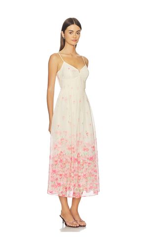 ROBE BELLORA en . Taille L. Also en M, S, XS - ASTR the Label - Modalova