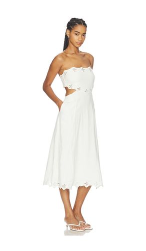 ROBE SHAVONDA en . Taille S. Also en M, L - ASTR the Label - Modalova