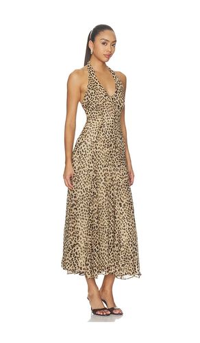 ROBE MYRA en . Taille XS. Also en S, M, L - ASTR the Label - Modalova