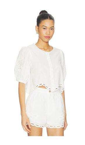 Joellyn Top en . Taille M. Also en XL - ASTR the Label - Modalova