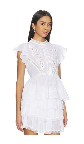 Jenny Top en . Taille XS. Also en S, M, L, XL - ASTR the Label - Modalova