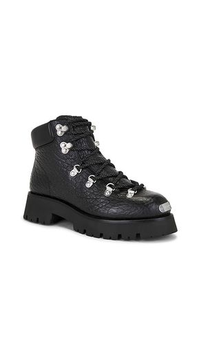 BOTTINES ARBOR en . Taille 37. Also en 39, 40 - Alexander Wang - Modalova