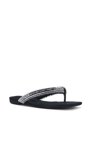 SANDALES JENNA TUBULAR FLAT THONG en . Taille 35. Also en 37, 38 - Alexander Wang - Modalova