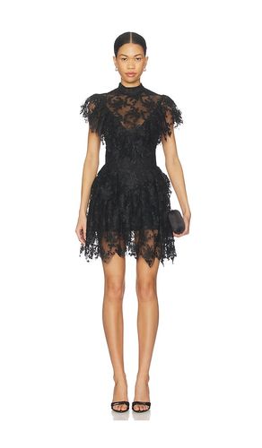 ROBE TARRYN en . Taille 2. Also en 4 - Bardot - Modalova