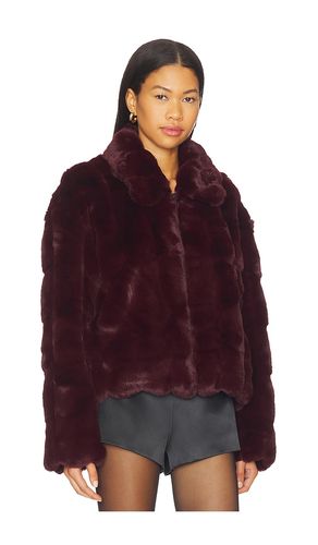 Sylvie Zip Faux Fur Jacket en . Taille 4. Also en 2, 6, 10, 12 - Bardot - Modalova