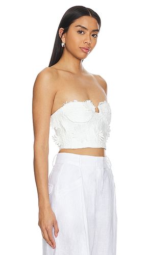Brias Bustier en . Taille 12. Also en 8 - Bardot - Modalova