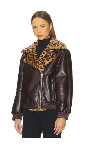 BLOUSON en . Taille L. Also en M, S, XS - BLANKNYC - Modalova