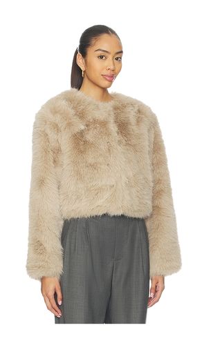 MANTEAU en . Taille L. Also en M, S, XS - BLANKNYC - Modalova