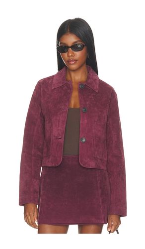 BLOUSON SUEDE en . Taille XS. Also en S, M, L - BLANKNYC - Modalova