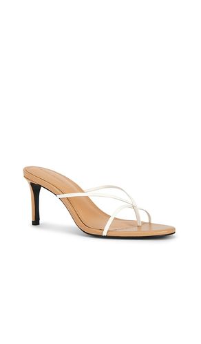 SANDALES JADE 65 en . Taille 37. Also en - BLACK SUEDE STUDIO - Modalova